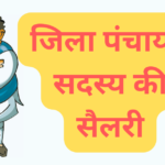 जिला पंचायत सदस्य की सैलरी