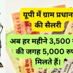 Gram Pradhan ki Salary 2024