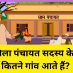 जिला पंचायत सदस्य में कितने गांव आते हैं