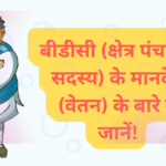 क्षेत्र पंचायत सदस्य का मानदेय